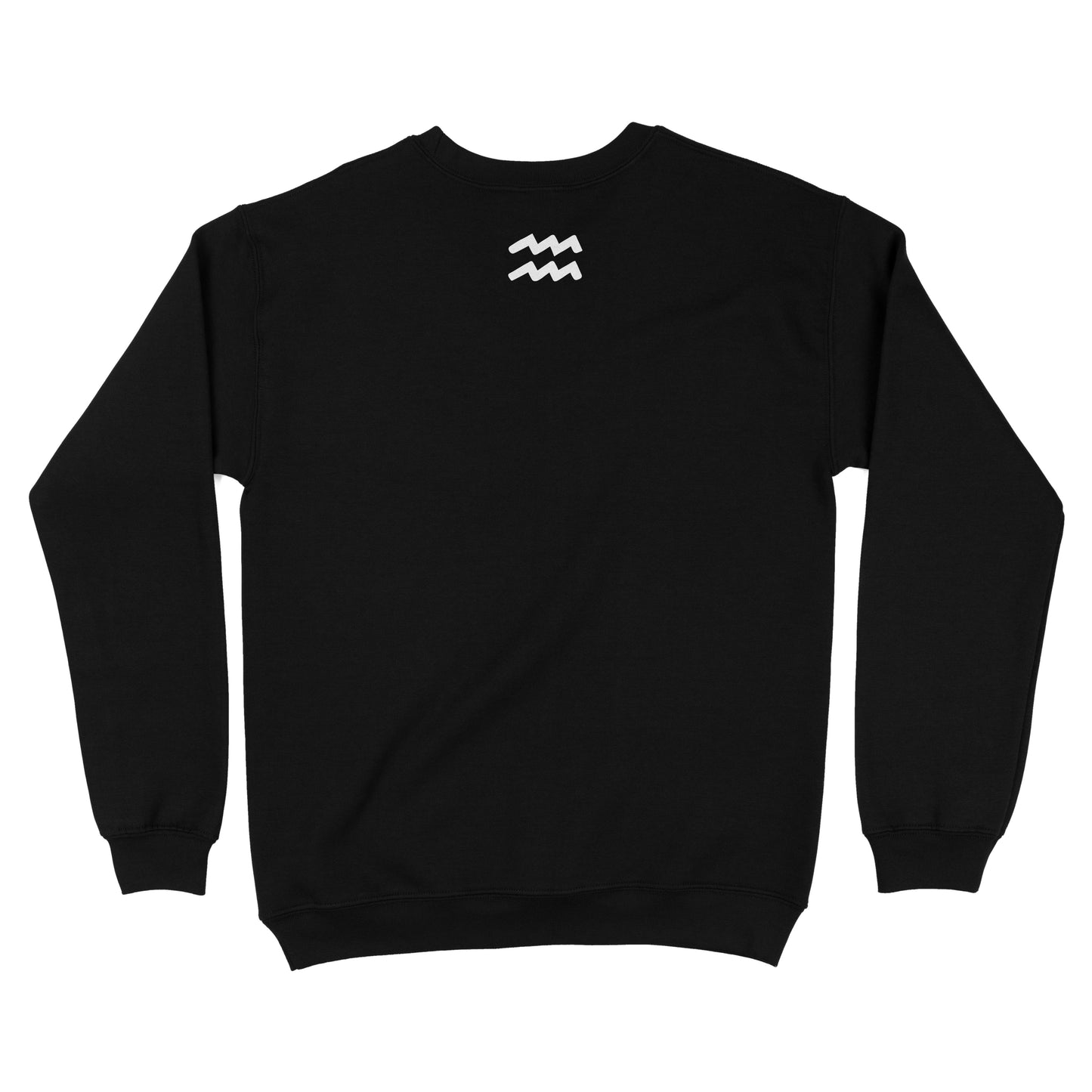 AQUARIUS VARSITY SWEATSHIRT // JAN 20 - FEB 18
